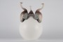 Huevo Avestruces (Egg Ostriches)